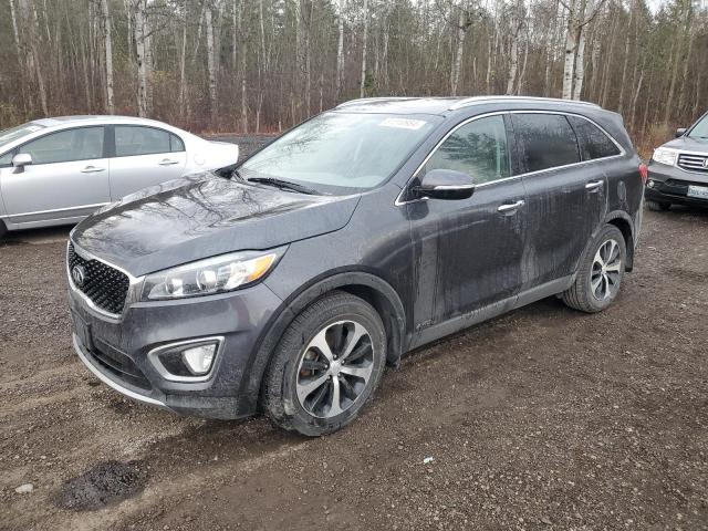 KIA SORENTO EX 2016 with VIN 5XYPHDA54GG106187 - Photo from auction