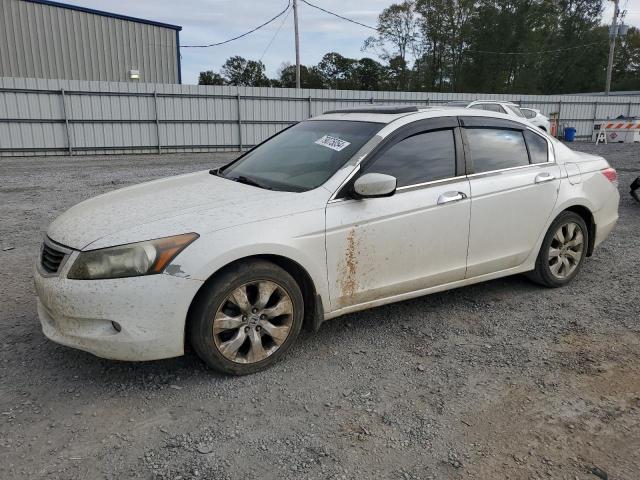 HONDA ACCORD EXL 2010 with VIN 5KBCP3F81AB014338 - Photo from auction