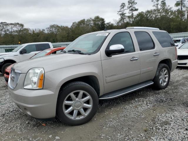 GMC YUKON DENA 2009 with VIN 1GKFC03219R246986 - Photo from auction