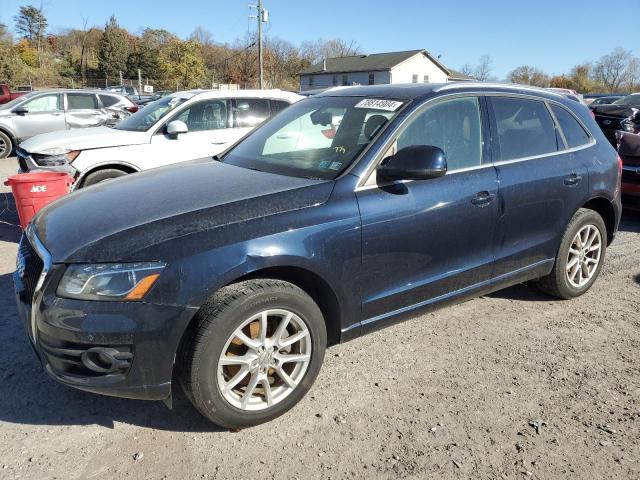 AUDI Q5 PREMIUM 2010 with VIN WA1LKAFP8AA100886 - Photo from auction