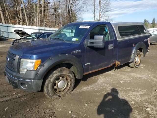 FORD F150 2011 with VIN 1FTPF1ET1BKD40142 - Photo from auction