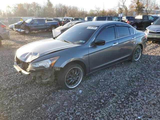 HONDA ACCORD EXL 2010 with VIN 1HGCP2F82AA036304 - Photo from auction