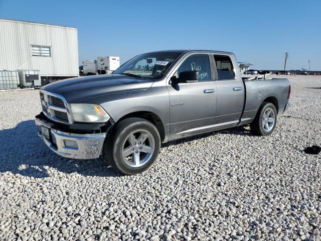 DODGE RAM 1500 2010 with VIN 1D7RB1GP2AS139049 - Photo from auction