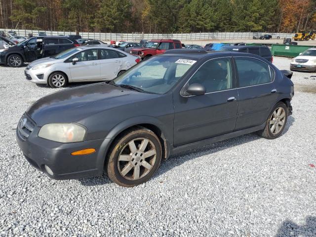 NISSAN MAXIMA 2003 with VIN JN1DA31A73T429407 - Photo from auction
