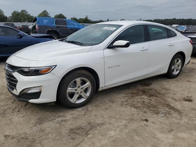 CHEVROLET MALIBU LS 2024 with VIN 1G1ZC5ST9RF149352 - Photo from auction