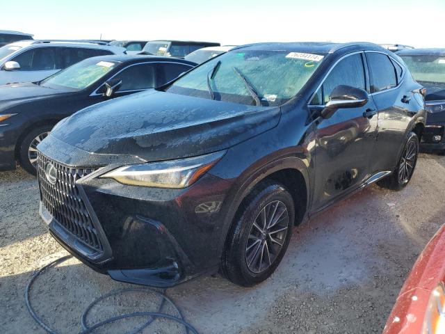 LEXUS NX 250 2024 with VIN 2T2GDCAZ6RC009754 - Photo from auction