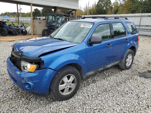 FORD ESCAPE XLS 2012 with VIN 1FMCU0C71CKA86806 - Photo from auction