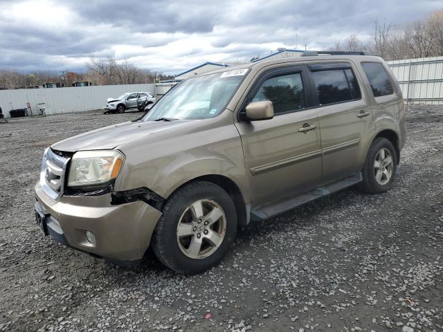 HONDA PILOT EXL 2009 with VIN 5FNYF48539B028026 - Photo from auction