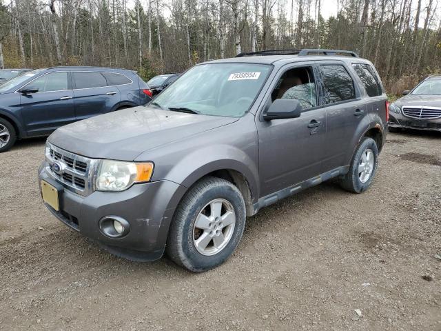 FORD ESCAPE XLT 2010 with VIN 1FMCU9D78AKD08841 - Photo from auction