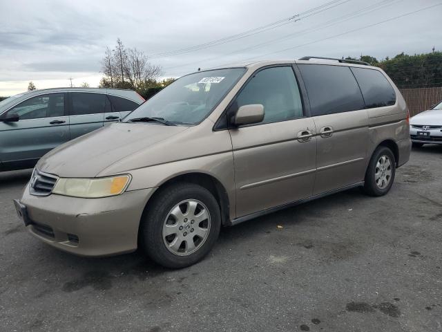 HONDA ODYSSEY EX 2004 with VIN 5FNRL18954B031999 - Photo from auction