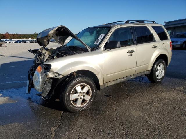 FORD ESCAPE XLT 2010 with VIN 1FMCU0D71AKA53123 - Photo from auction