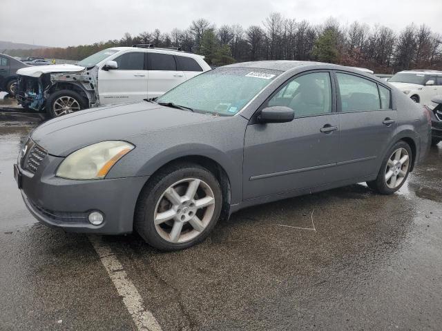 NISSAN MAXIMA SE 2004 with VIN 1N4BA41E04C902942 - Photo from auction