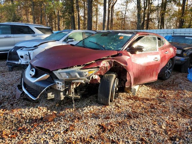 NISSAN MAXIMA 3.5 2017 with VIN 1N4AA6AP1HC385343 - Photo from auction