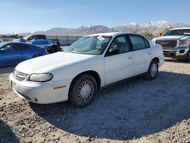CHEVROLET MALIBU 2002 with VIN 1G1ND52J82M584634 - Photo from auction