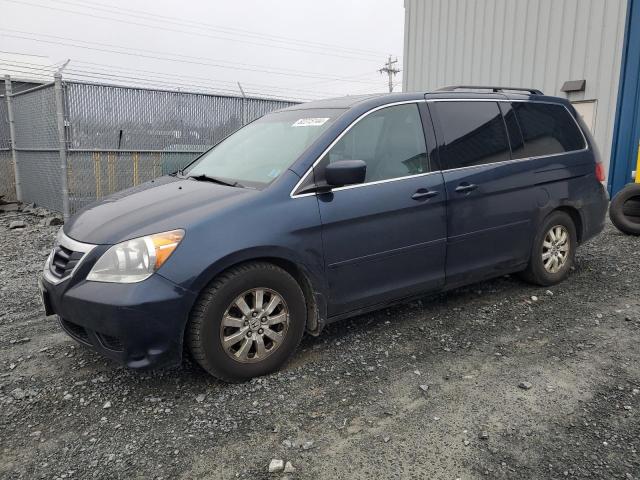 HONDA ODYSSEY EX 2009 with VIN 5FNRL38619B505469 - Photo from auction