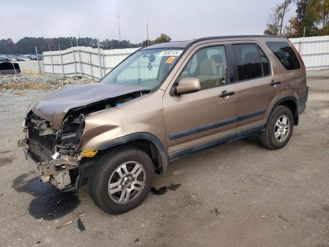 HONDA CR-V EX 2002 with VIN JHLRD78802C010496 - Photo from auction