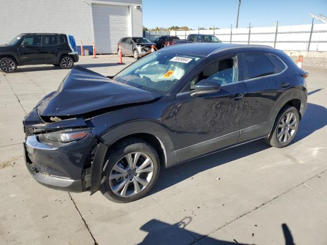 MAZDA CX-30 PREF 2023 with VIN 3MVDMBCM1PM512081 - Photo from auction