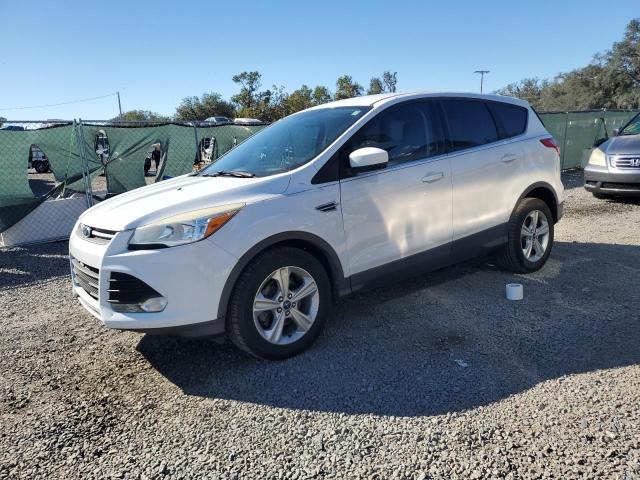 FORD ESCAPE SE 2014 with VIN 1FMCU0GX8EUC69279 - Photo from auction
