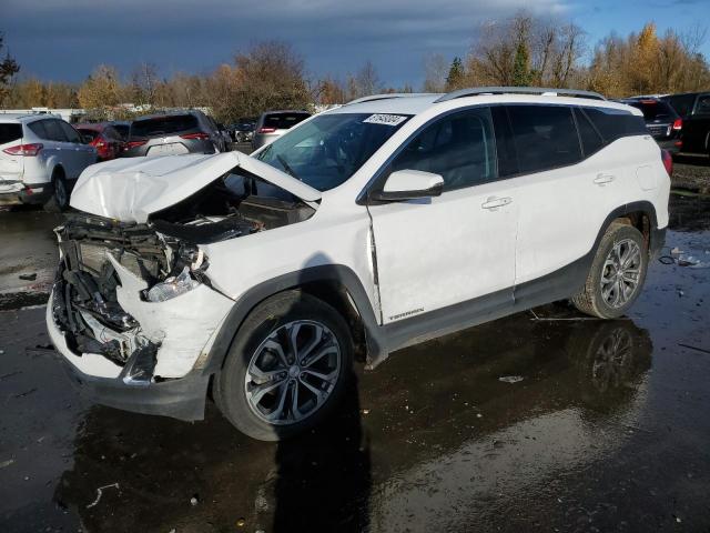 GMC TERRAIN SL 2019 with VIN 3GKALVEV3KL188648 - Photo from auction