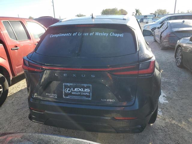 Photo 6 from auction – 2024 LEXUS NX 250 with VIN 2T2GDCAZ6RC009754