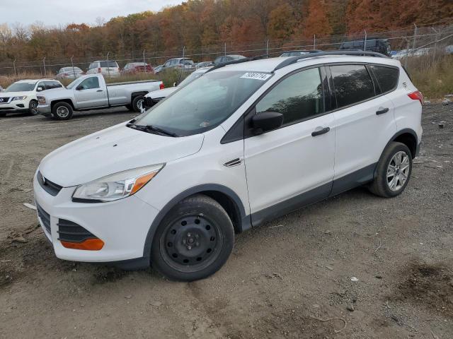 FORD ESCAPE S 2014 with VIN 1FMCU0F75EUB48498 - Photo from auction