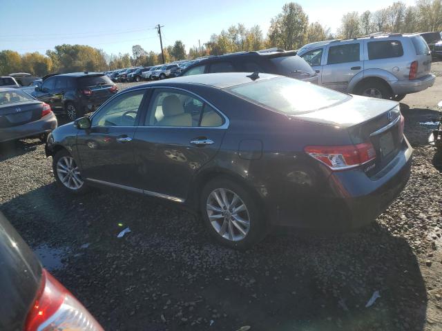 Photo 2 from auction – 2010 LEXUS ES 350 with VIN JTHBK1EGXA2351968