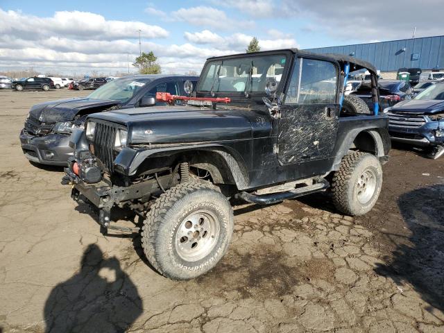 JEEP WRANGLER / 1995 with VIN 1J4FY19P5SP245471 - Photo from auction