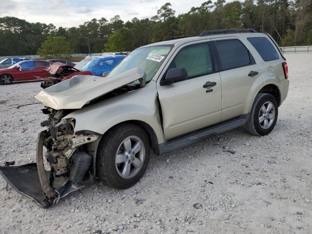 FORD ESCAPE XLT 2010 with VIN 1FMCU0D75AKA71401 - Photo from auction