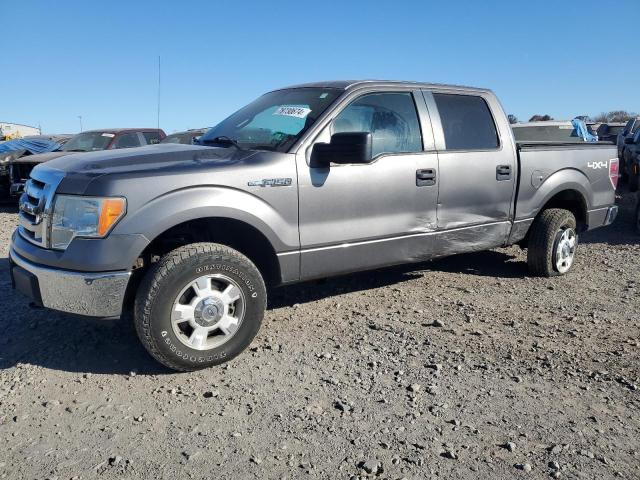 FORD F150 SUPER 2010 with VIN 1FTEW1E83AFB34234 - Photo from auction