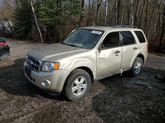FORD ESCAPE XLT 2010 with VIN 1FMCU0DG5AKC70187 - Photo from auction