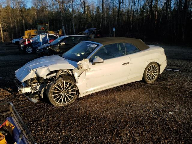 AUDI A5 PREMIUM 2024 with VIN WAU3AGF52RN007129 - Photo from auction
