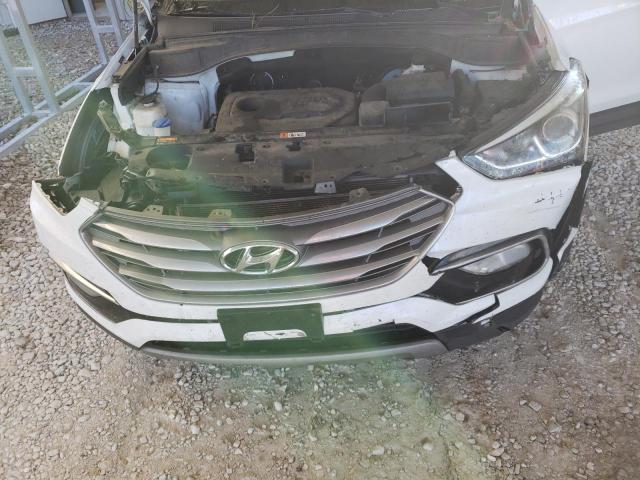 Photo 12 from auction – 2017 HYUNDAI SANTA FE with VIN 5NMZU3LB6HH034935