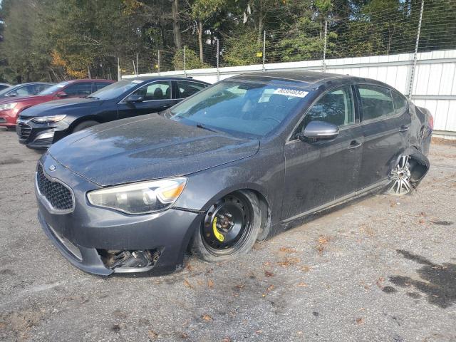 KIA CADENZA PR 2014 with VIN KNALN4D71E5163583 - Photo from auction