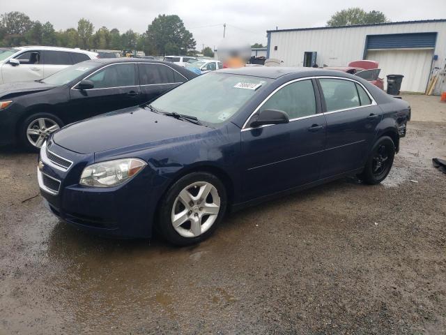 CHEVROLET MALIBU LS 2012 with VIN 1G1ZB5E05CF342464 - Photo from auction