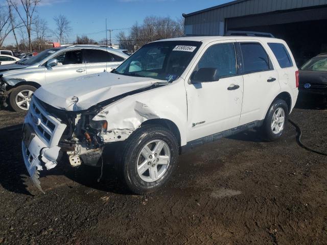 FORD ESCAPE HYB 2009 with VIN 1FMCU49319KC41455 - Photo from auction