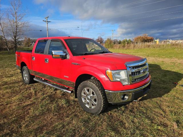 FORD F150 SUPER 2014 with VIN 1FTFW1ETXEFA01405 - Photo from auction