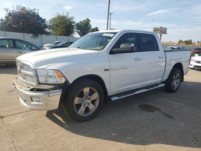 DODGE RAM 1500 S 2012 with VIN 1C6RD6LTXCS297640 - Photo from auction