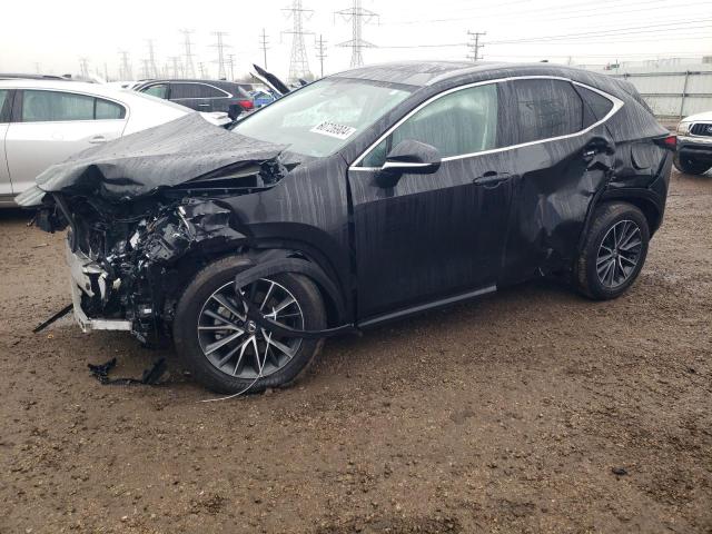 LEXUS NX 350 BAS 2024 with VIN 2T2AGCEZ9RC058874 - Photo from auction
