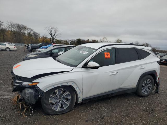 Photo 1 from auction – 2023 HYUNDAI TUCSON BLU with VIN KM8JBCA15PU116879