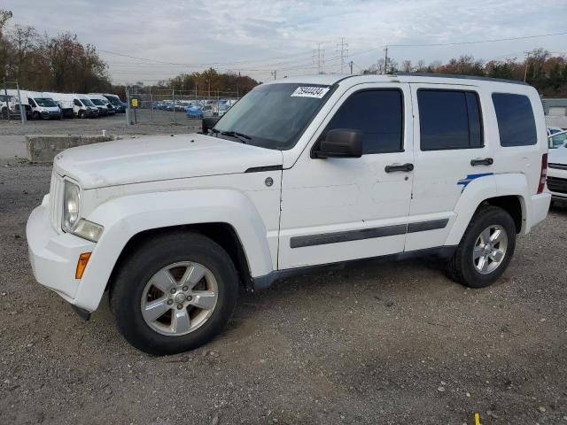 JEEP LIBERTY SP 2011 with VIN 1J4PN2GK7BW580165 - Photo from auction