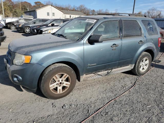 FORD ESCAPE HYB 2010 with VIN 1FMCU4K34AKB43907 - Photo from auction
