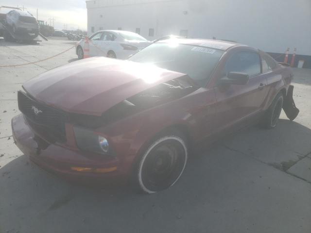 Photo 1 from auction – 2007 FORD MUSTANG with VIN 1ZVFT80N375281829