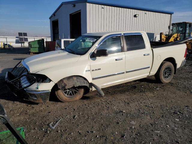 DODGE RAM 1500 2010 with VIN 1D7RV1CT8AS227744 - Photo from auction