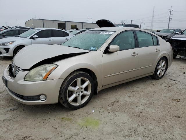NISSAN MAXIMA SE 2005 with VIN 1N4BA41EX5C833808 - Photo from auction