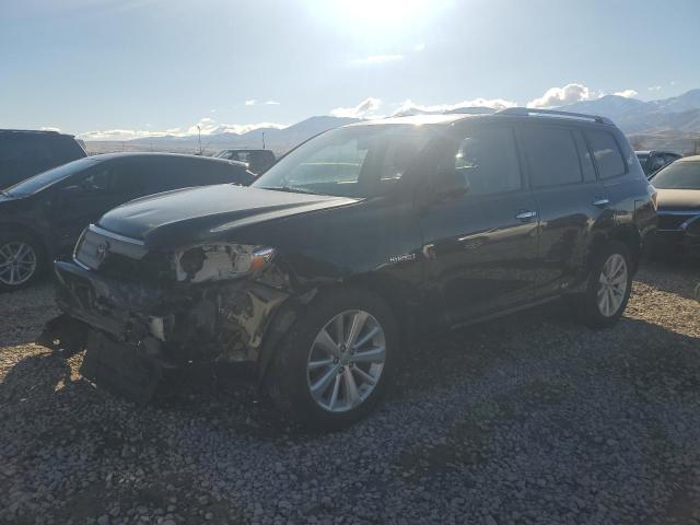 TOYOTA HIGHLANDER 2008 with VIN JTEEW44AX82013137 - Photo from auction