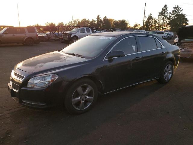CHEVROLET MALIBU 2LT 2011 with VIN 1G1ZD5E13BF244518 - Photo from auction