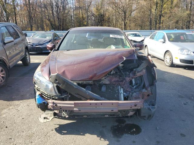 Photo 5 from auction – 2010 HONDA ACCORD EXL with VIN 1HGCP2F85AA164777
