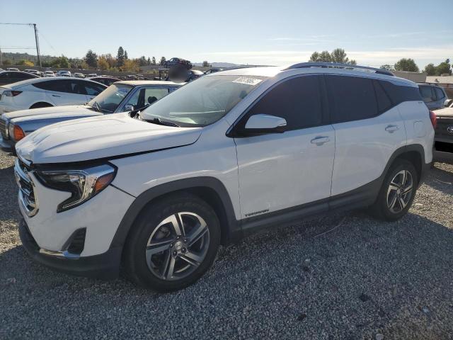 GMC TERRAIN SL 2019 with VIN 3GKALPEV4KL235116 - Photo from auction