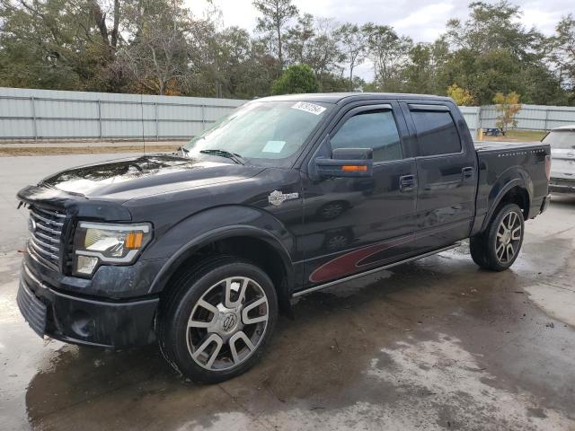 FORD F150 SUPER 2010 with VIN 1FTEW1CV0AFB54367 - Photo from auction