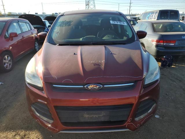 Photo 5 from auction – 2014 FORD ESCAPE SE with VIN 1FMCU0GX1EUC73593